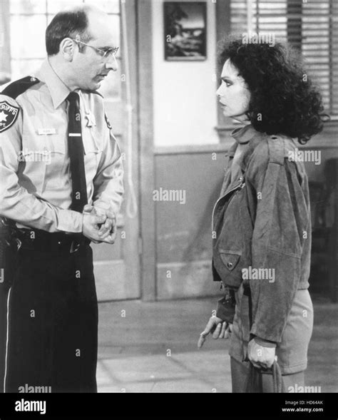 SHE'S THE SHERIFF, from left: George Wyner, Karen Valentine, 'Hair ...