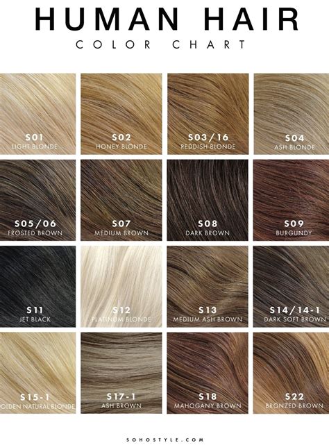 Ash Brown Hair Color Chart Loreal