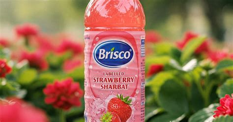 Refreshing Beverages from Jufy | Jufy