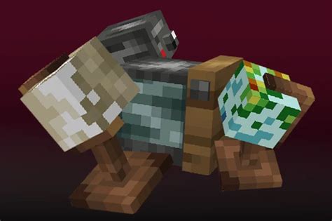 Image result for Shell Pack Download