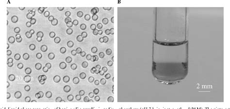 Image result for Protein Crystallization System
