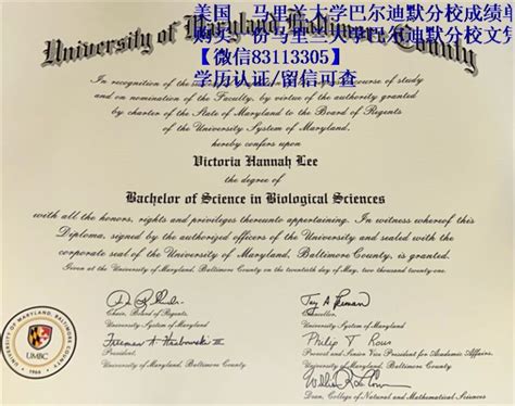 购买一份马里兰大学巴尔迪默分校文凭证书最重要的是凹凸烫金 - 蓝玫留学机构