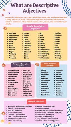 Image result for Adjectives as Modifiers Examples