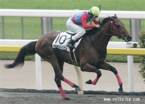 メテオストリーム (Meteor Stream) | 競走馬データ - netkeiba