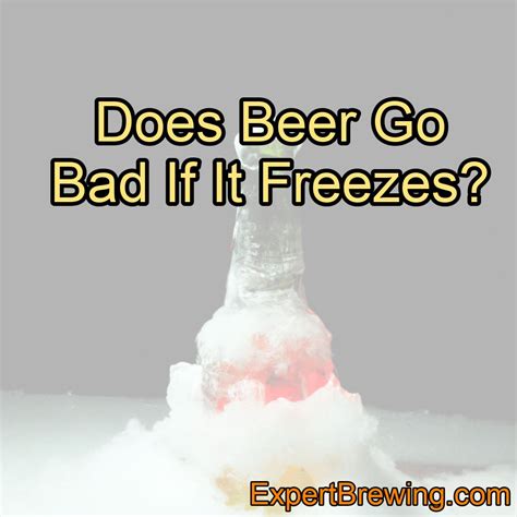 Does Beer Go Bad If It Freezes? – ExpertBrewing.com