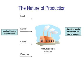 Productivity Economics Example 的图像结果