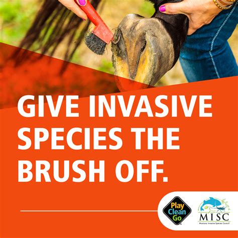 PlayCleanGo Awareness Week - June 6, 2023