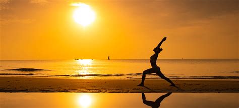 Yoga Tools - Yoga Mat, exercise Yoga Bag & Yoga Books ...