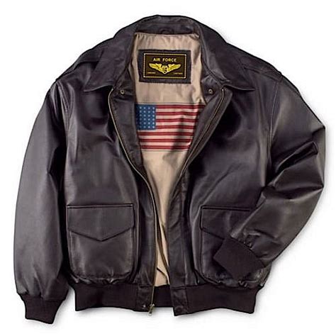 Landing Leathers Mens Air Force A-2 Leather Flight India | Ubuy
