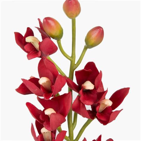 Buy Artificial Garden Flower from Home Centre at just INR 499.0