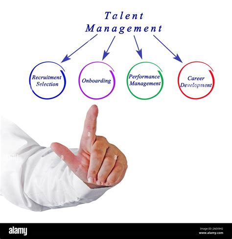 Image result for Talent Management Tutorial