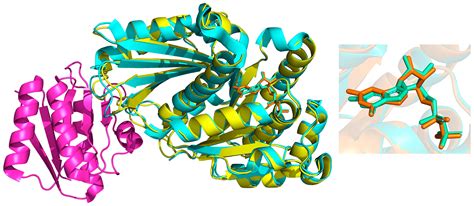 Quantitative Characterization of the Impact of Protein–Protein ...