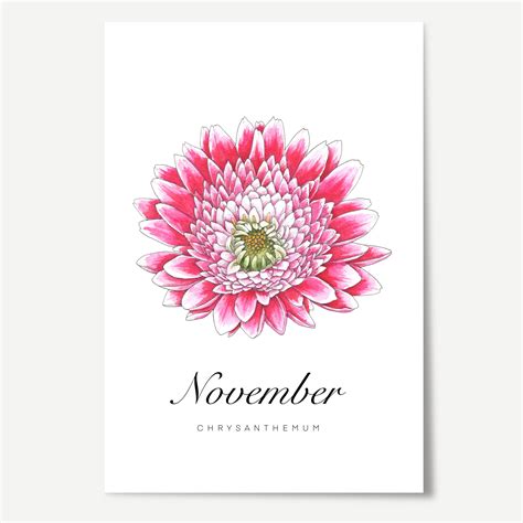 November Birth Month Flower Tattoo | Best Flower Site