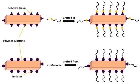 Nanofiltration Membranes for the Removal of Heavy Metals from Aqueous ...
