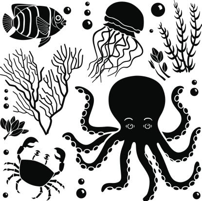 Sea Creatures for Design 的图像结果