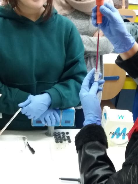 PRÁCTICA 6: VELOCIDAD DE SEDIMENTACIÓN GLOBULAR