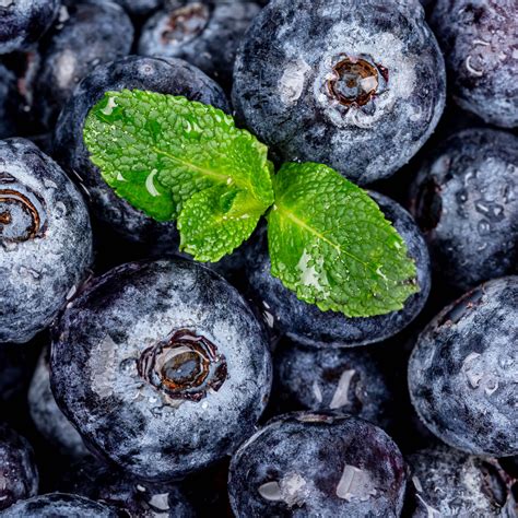 Download wallpaper 2780x2780 blueberries, berries, mint, wet, macro ...
