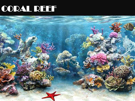 Natural Environment 的图像结果