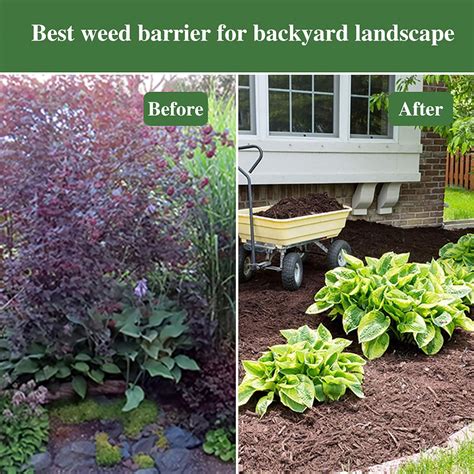 Buy AGTEK Garden Weed Barrier Landscape Fabric 3.8oz 4x50 FT Heavy-Duty ...