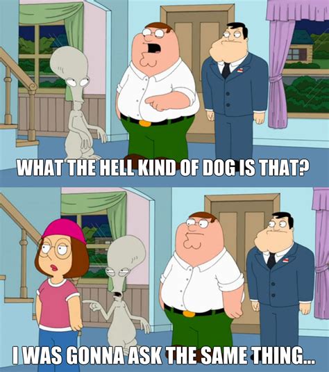 Family Guy & American Dad | Family guy funny, American dad, Funny pictures