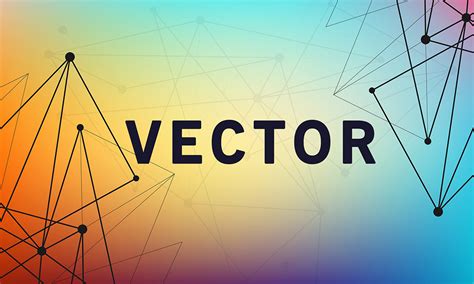Image result for What Is Vector