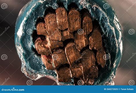 Wire 的图像结果