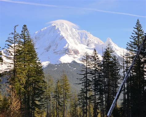 Download wallpaper 1280x1024 trees, mountain, snow, logs, stream ...