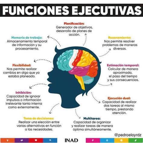 Health and Emotional Intelligence | Anatomia, Studio