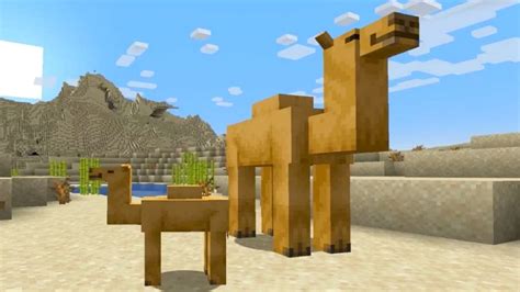 Minecraft Trails and Tales free update to add archaeology, cherry ...