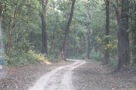 Valmiki Tiger Reserve in West Champaran | Bihar Tourism