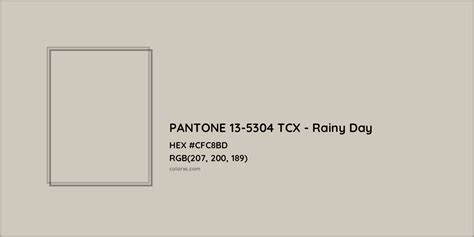 About PANTONE 13-5304 TCX - Rainy Day Color - Color codes, similar ...