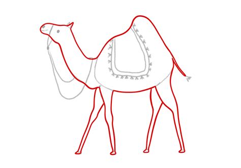 How to Draw a Camel | Design School