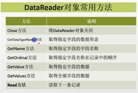 DataReader 的图像结果