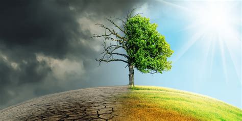 जलवायु परिवर्तन पर निबंध – 100, 200 और 500 शब्दों में