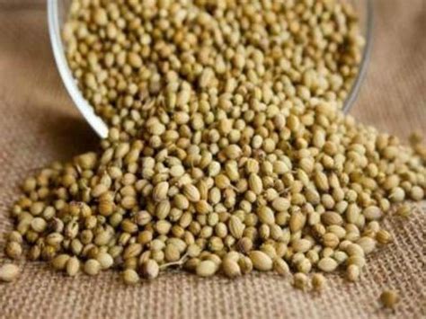 Grocery Planet Coriander Seeds Whole 1kg- Sabut Dhania | Whole Dhania ...