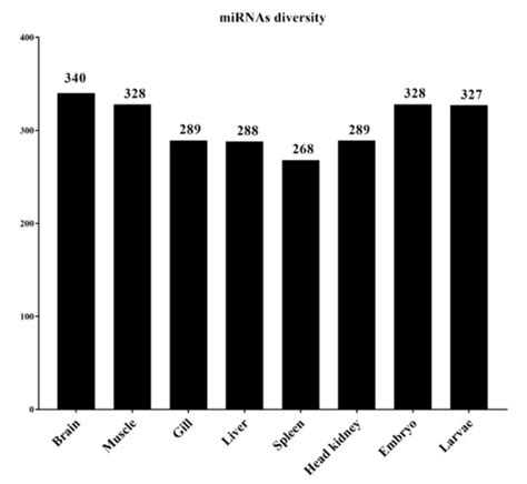 Characterization of miRNAs in Embryonic, Larval, and Adult Lumpfish ...