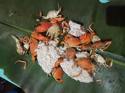 tank u everyone, san isidro leyte, San Isidro, Peru, Tacloban City, 10 ...