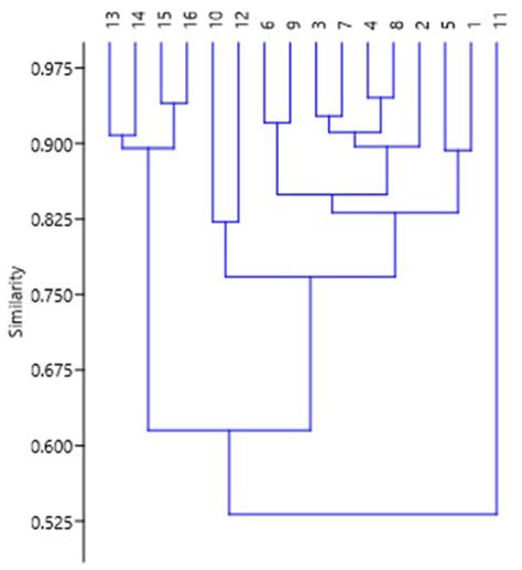A GC-MS Chemotaxonomic Study on Lipophilic Compounds in the Bark of S ...