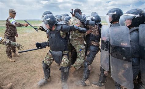 State Partnership Program 的图像结果