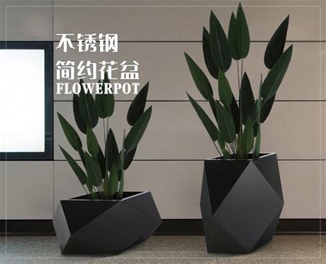 不锈钢造型花盆 - 北京金三特金属制品有限公司
