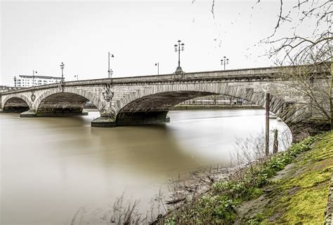 Mycoprotein's health potential