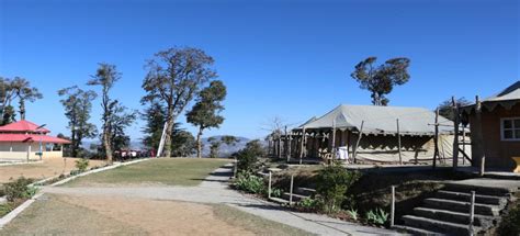 Camp Jungle Livinn | National Tour Group