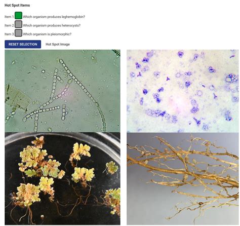 Image result for Laboratory Practical Example