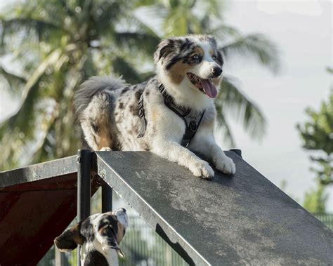 Amenities - Belle On Bev