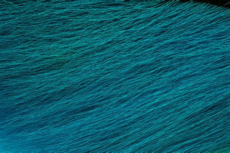 Premium Selected Bucktail | Fulling Mill Fly Tying