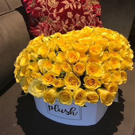 Products – House of Plush