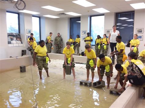 Stem Education 的图像结果