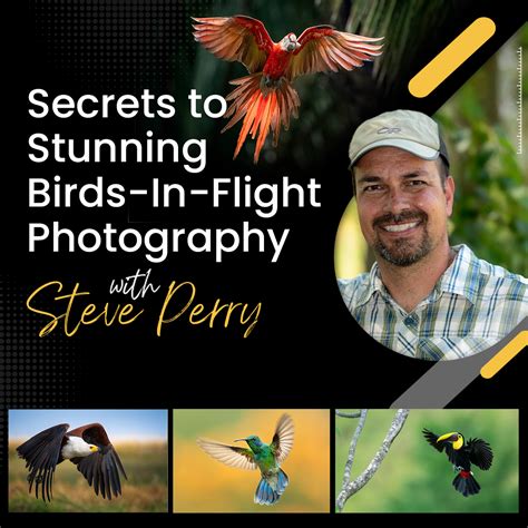 Image result for Bird Training Discrimination Task