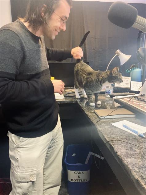 Adopt-A-Pet: Sweetie Pie from Cat Tales Cat Cafe - Chapelboro.com