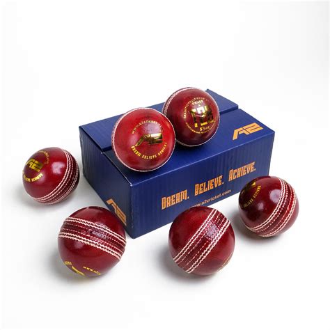 A2 CRICKET DREAM. BELIEVE. ACHIEVE 4 Piece Leather Cricket Ball - T20 ...